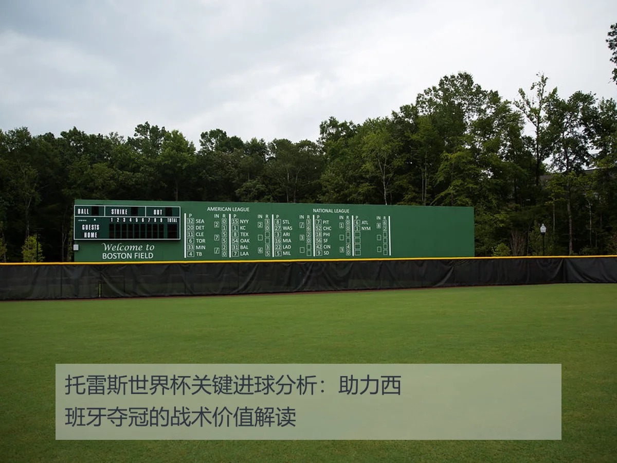 托雷斯世界杯关键进球分析：助力西班牙夺冠的战术价值解读 | www.kaiyun.com
